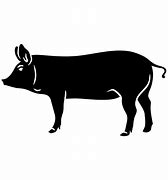 Image result for Pig Front Profile