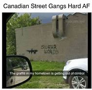 Image result for Canadian Aye or Eh Meme