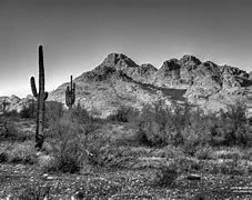 Image result for Phoenix Nature Preserve