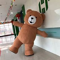 Image result for Teddy Bear Lion Costume