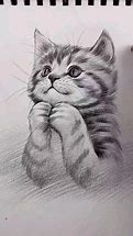 Image result for Cat Drawing Shading