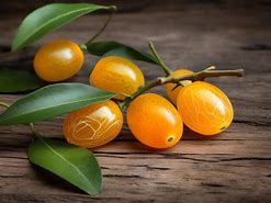 Image result for Kumquat Like Fruit