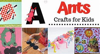 Image result for Ant Activities