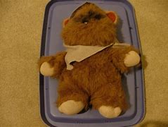 Image result for Ewok Doll