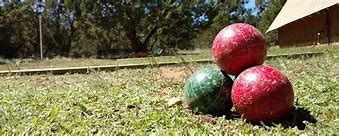 Image result for Picture of Bocce Players Fighting