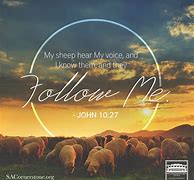 Image result for I Hear You Jesus I'm Coming Sheep