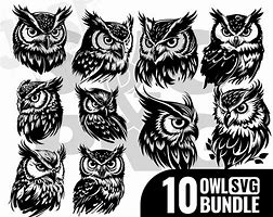 Image result for Owl Box Plans SVG