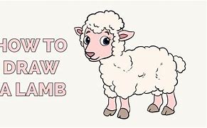 Image result for How to Draw a Lamb