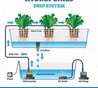 Image result for Hydroponic Watering System