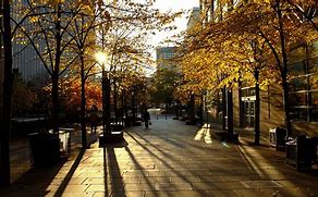 Image result for Canada Cities Full HD Images