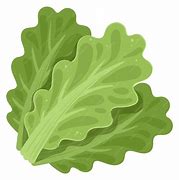 Image result for Green Salad Cartoon