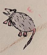 Image result for Possum Doodle