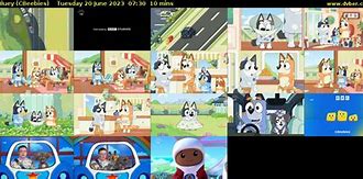 Image result for Bluey On CBeebies