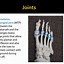 Image result for Medical Foot Anatomy