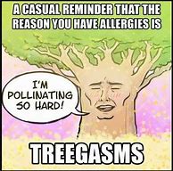 Image result for Allergy Season Meme