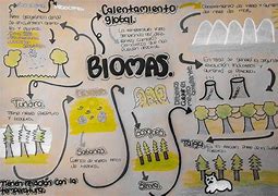 Image result for Mapa De Biomas