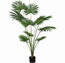 Image result for Make Fake Palm Tree