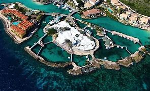 Image result for Curacao Aquarium