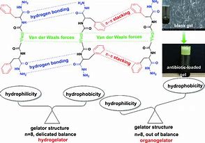 Image result for Self-Assembly Hydrogel