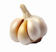 Image result for Pic of Garlic