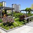 Image result for Roof Deck Garden Design Ideas