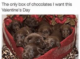 Image result for Love Valentine's Day Memes