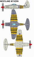 Image result for Westland Wyvern Art