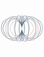 Image result for Torus in Nature