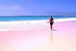 Image result for Pink Sand Beaches in Bahamas