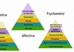 Image result for Chimp Taxonomy