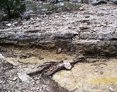 Image result for Austin Chalk Outcrop