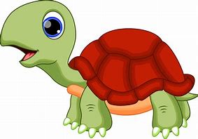 Image result for New School Baby Turtle