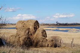 Image result for Hay Field