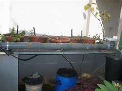 Image result for Hydroponic Watering System