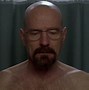 Image result for Bug Breaking Bad