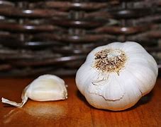 Image result for Smutted Garlic Clove