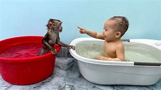 Image result for Demi and Kaka the Monkey