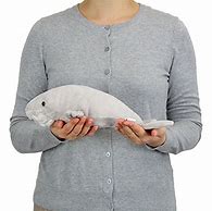 Image result for Dugong Stuffed Animal