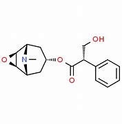 Image result for Scopolamine