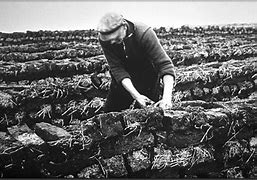 Image result for Raised Peat Bog