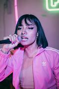 Image result for Pink Singer Photography