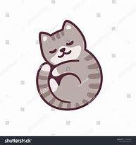 Image result for Munchkin Cat Gray Tabby