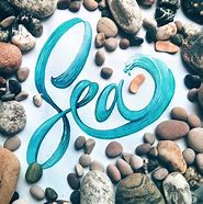 Image result for Summer Lettering