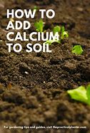 Image result for Calcium Sulfate for Plants