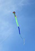 Image result for Davison Dragon Kite