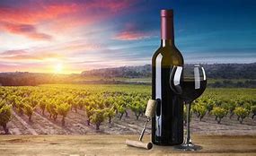 Image result for Tuscany Italy Wine