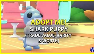 Image result for Shark Pup