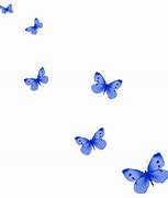 Image result for Small Animated Butterflies