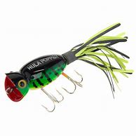 Image result for Popper Lure