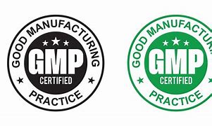 Image result for GMP Logo